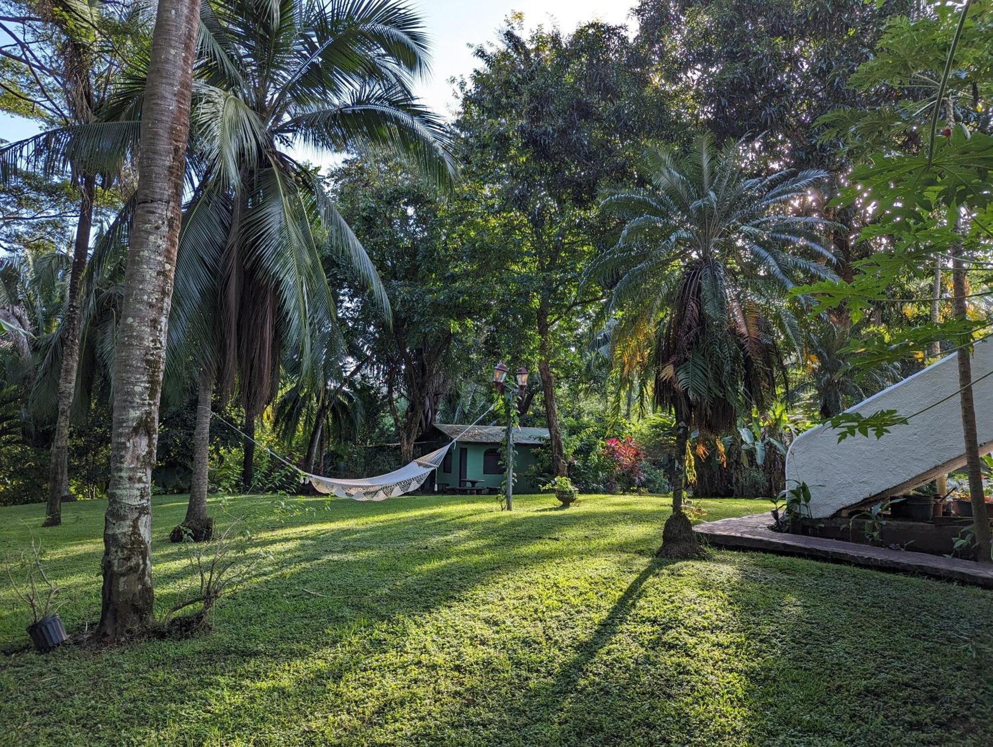 Spirit Of Jungle Lodge Sámara Exteriör bild